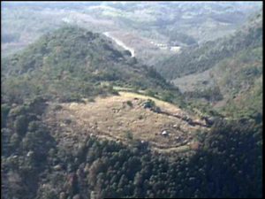 番組プロデューサー期①